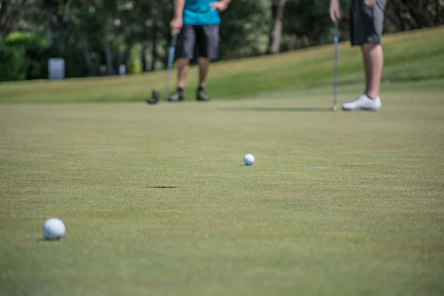 Play golf in Stellenbosch
