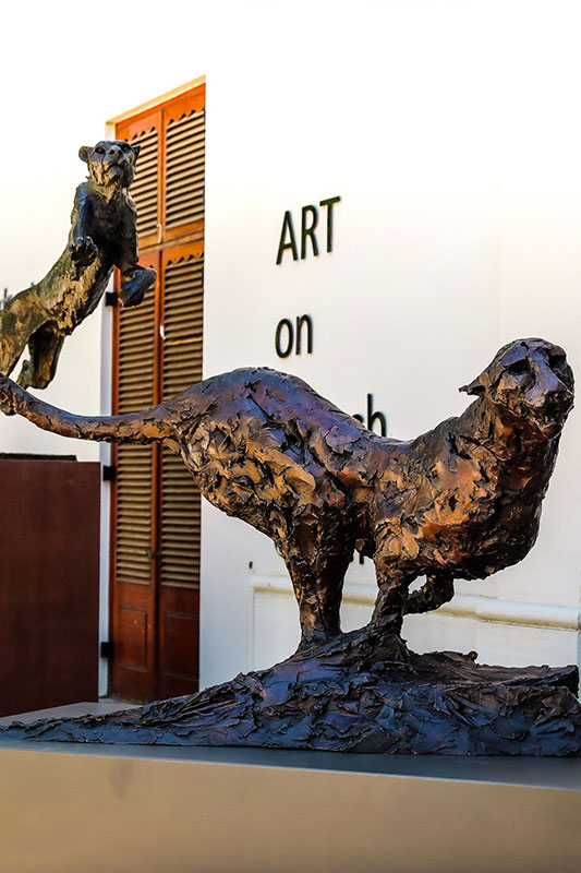 Attractions Things to do in Stellenbosch