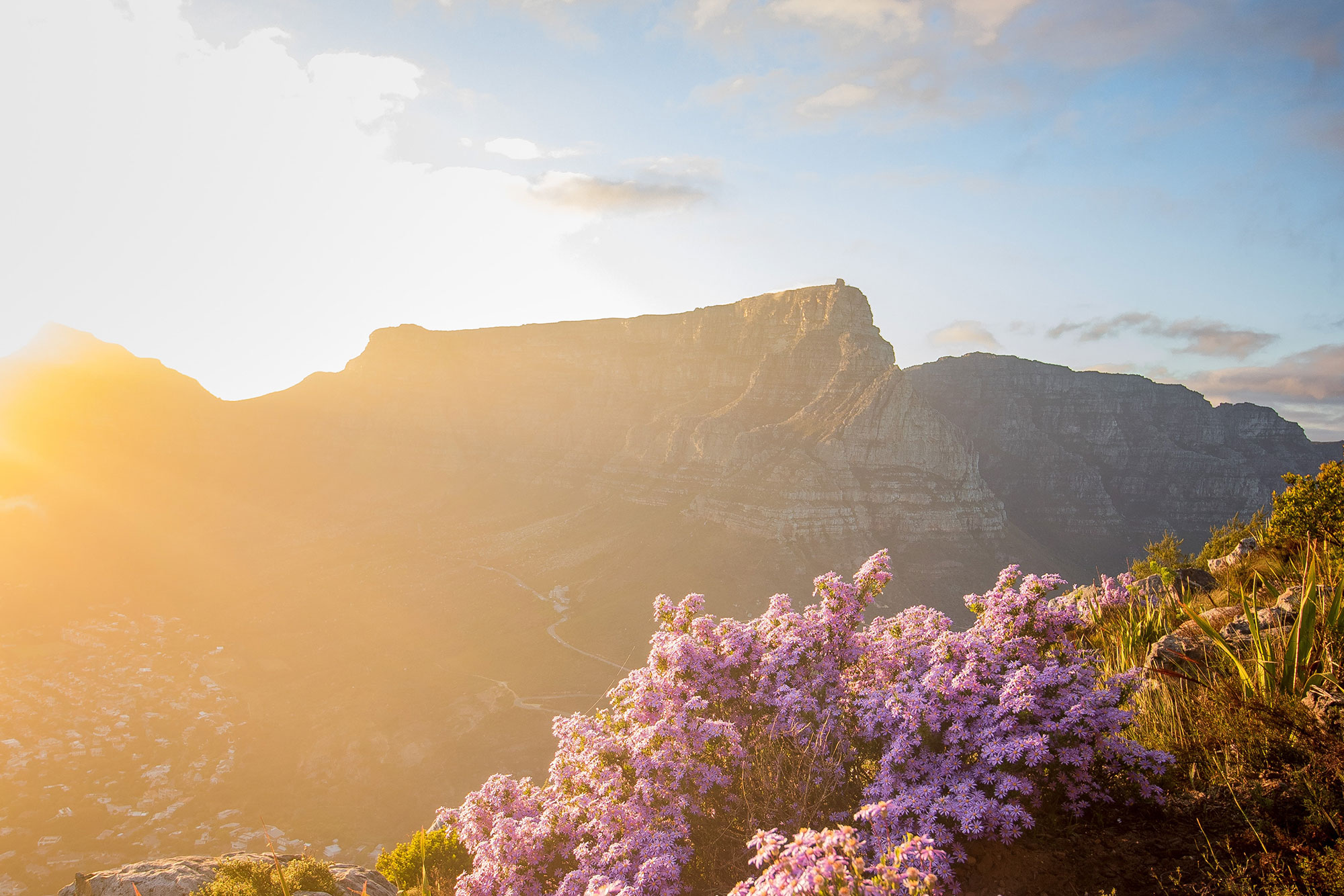 Hike Table Mountain Cape Town